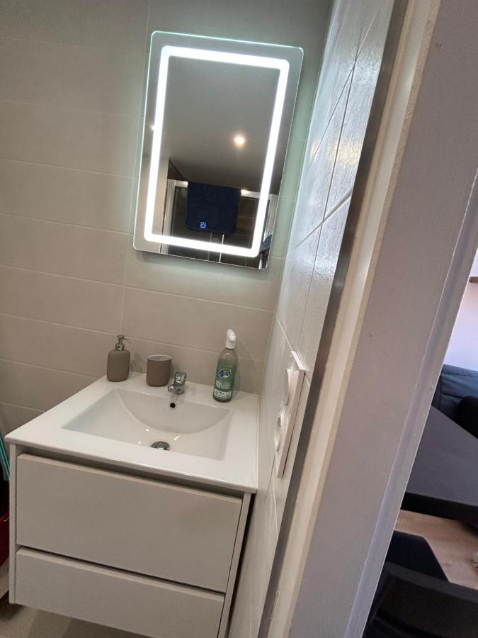 Le Cygne Blanc Apartment Toulouse Bagian luar foto