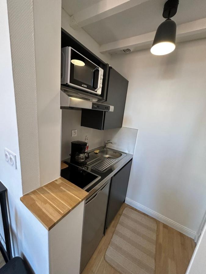 Le Cygne Blanc Apartment Toulouse Bagian luar foto