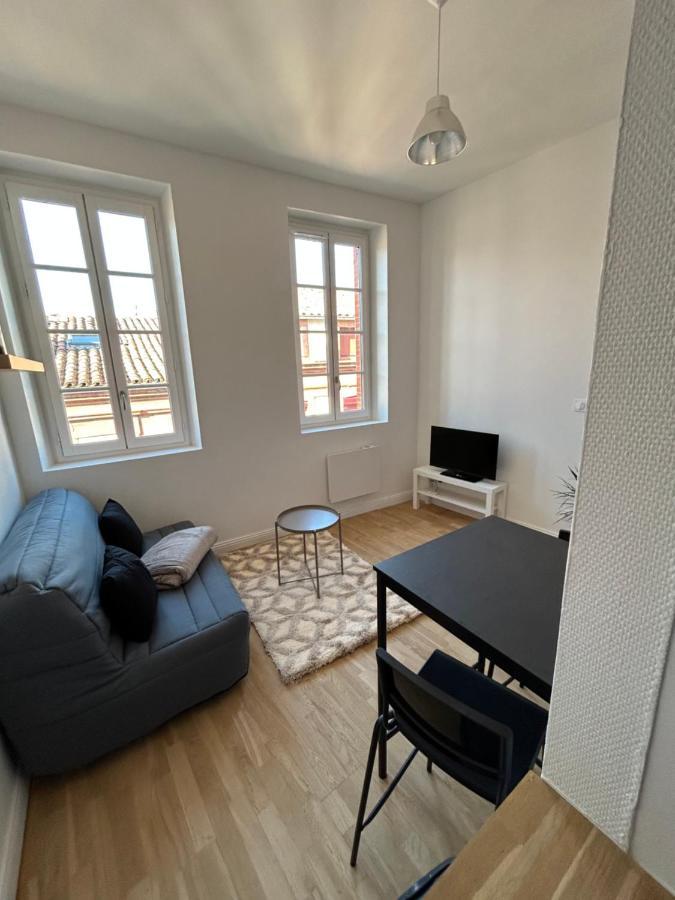Le Cygne Blanc Apartment Toulouse Bagian luar foto