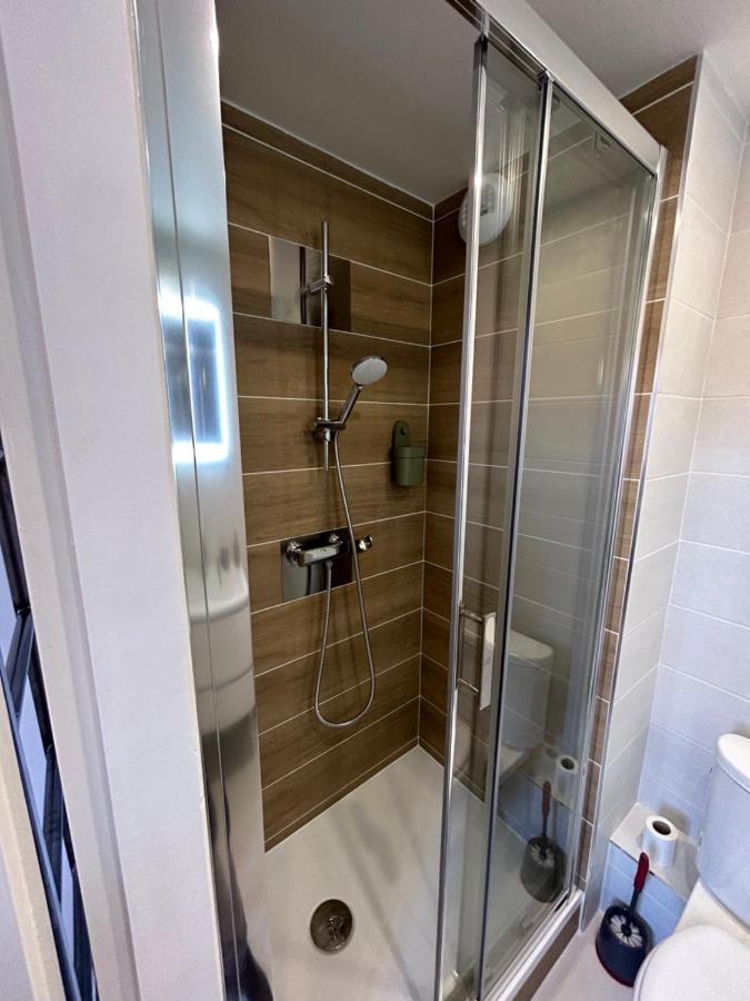 Le Cygne Blanc Apartment Toulouse Bagian luar foto