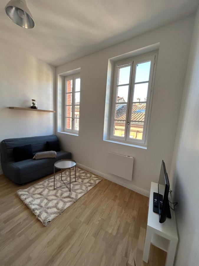 Le Cygne Blanc Apartment Toulouse Bagian luar foto