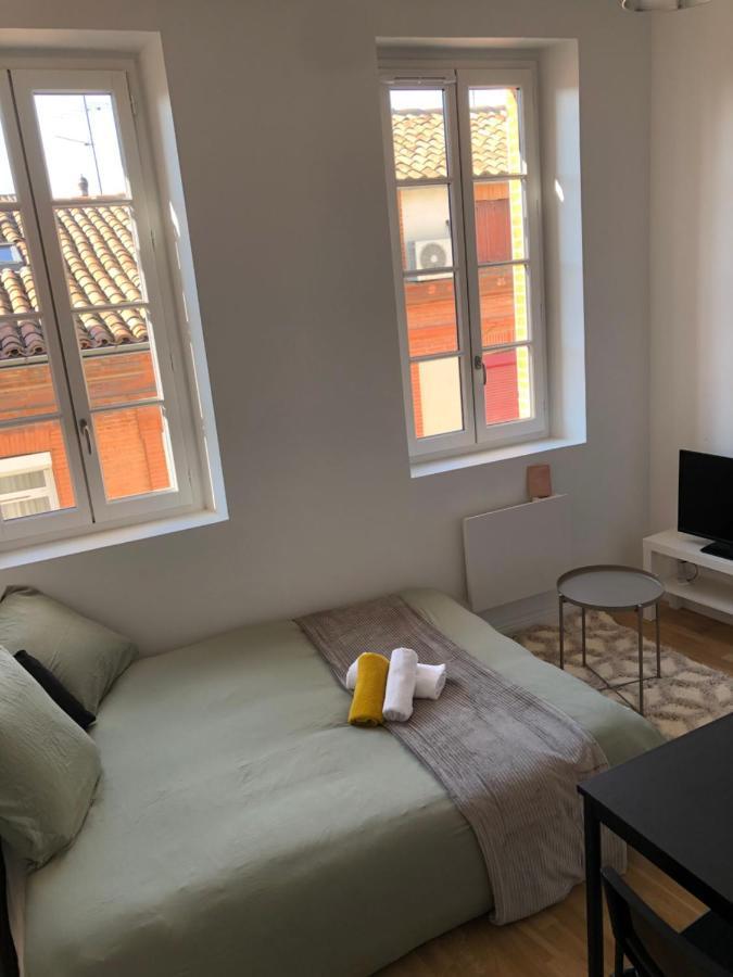 Le Cygne Blanc Apartment Toulouse Bagian luar foto
